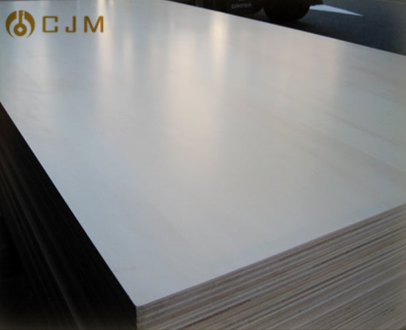 Type 409 Brushed Roof Hot Rolled Steel Plate